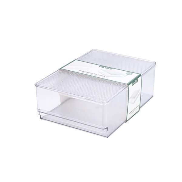 TK organizer box with lid-FK1082