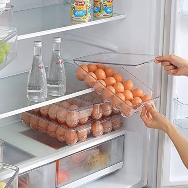 TK Plastic Egg Storage Box – Fridge Organizer