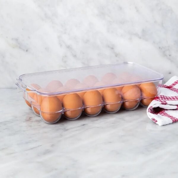 TK Plastic Egg Storage Box – Fridge Organizer