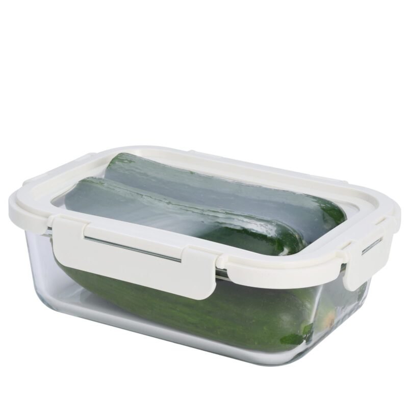 Airtight Food Lunch Box with Silicone Lid
