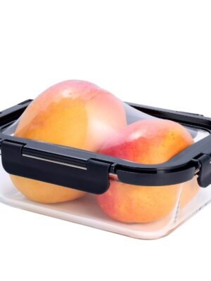 Airtight Food Lunch Box with Silicone Lid