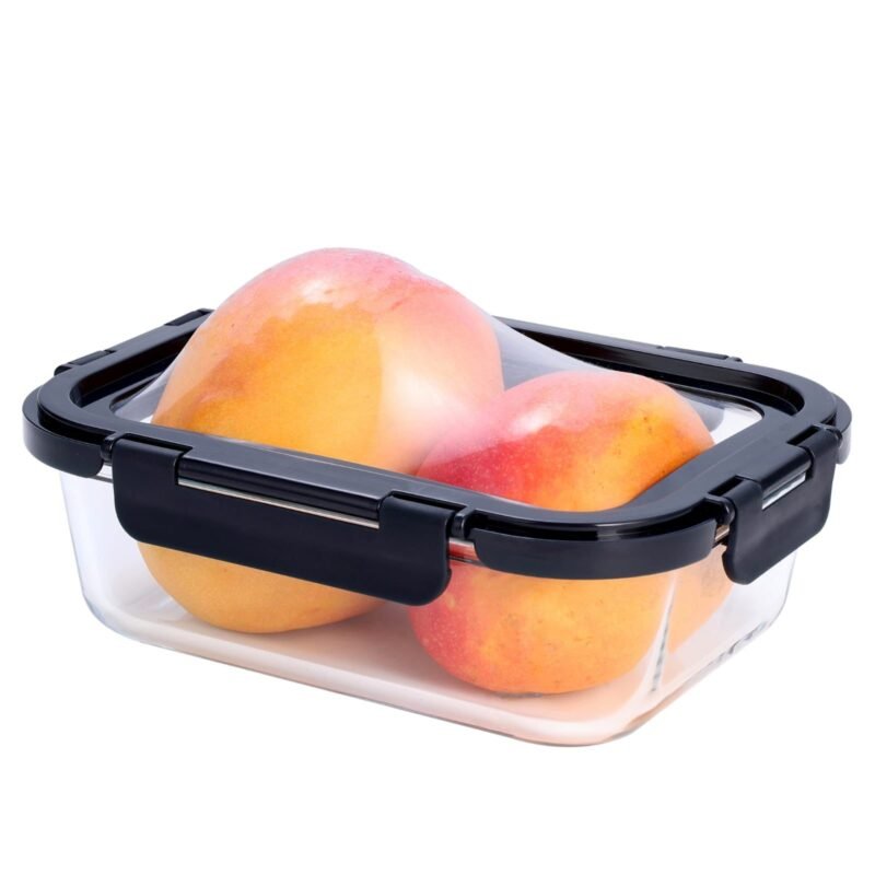 Airtight Food Lunch Box with Silicone Lid
