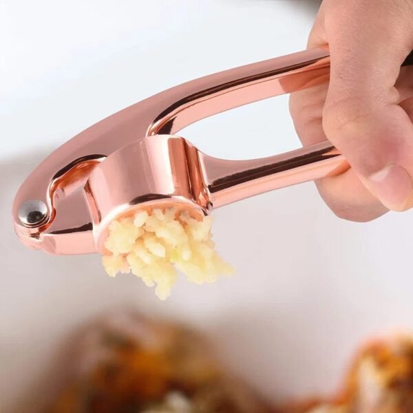 TK Stainless Steel Garlic Press – Ergonomic Kitchen Tool