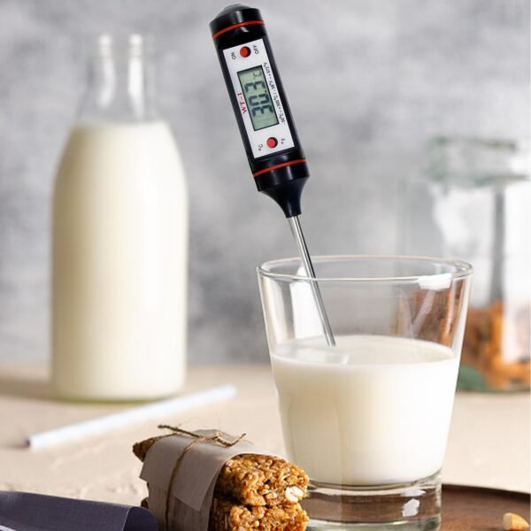 Stainless Steel Digital Thermometer