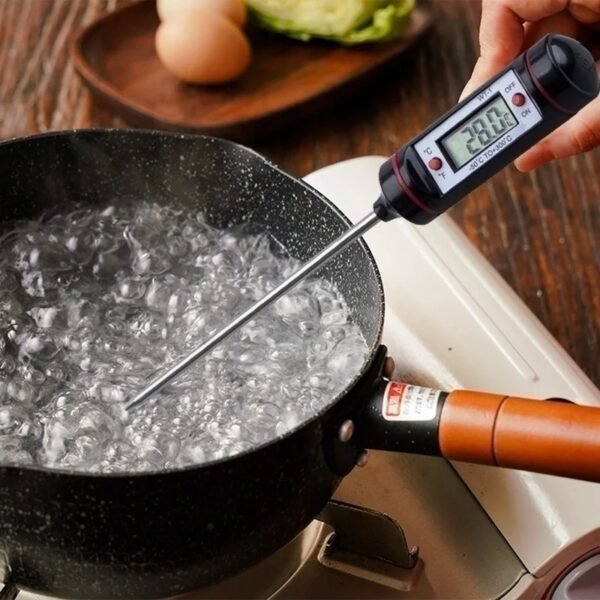 Stainless Steel Digital Thermometer