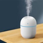 Cute USB Ultrasonic Humidifier