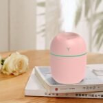 Cute USB Ultrasonic Humidifier