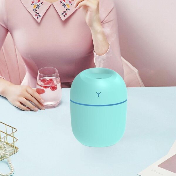 Cute USB Ultrasonic Humidifier