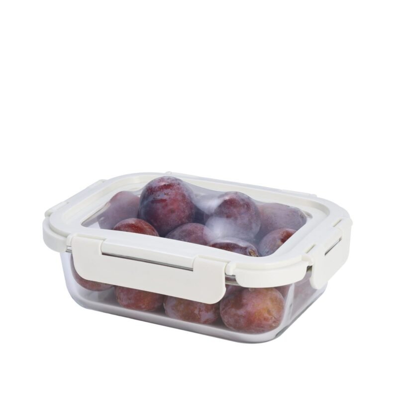 Airtight Food Lunch Box with Silicone Lid