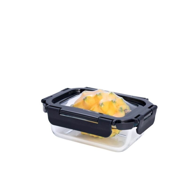 Airtight Food Lunch Box with Silicone Lid