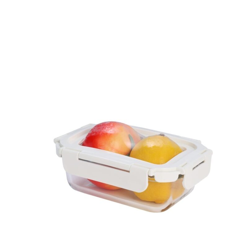 Airtight Food Lunch Box with Silicone Lid