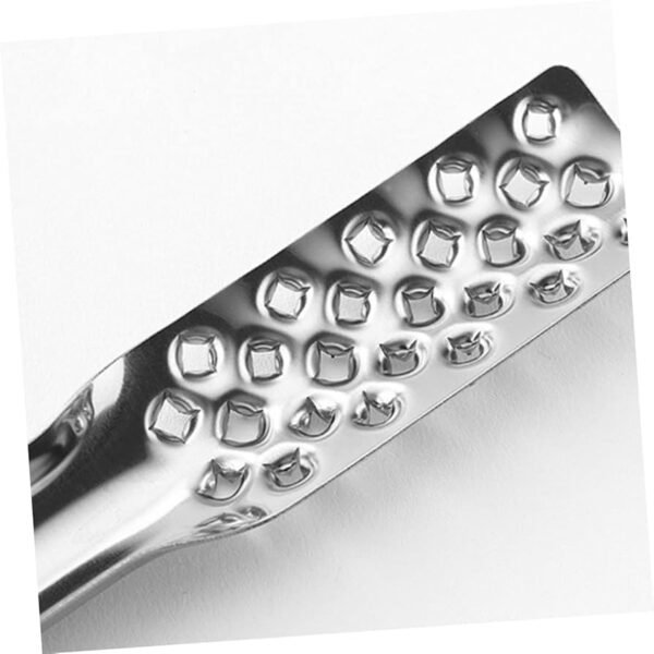 TK Stainless Steel Fish Scaler – Kitchen Descaling Tool