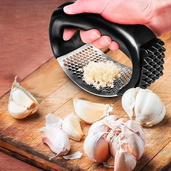 Arc Shape 2-in-1 Garlic Press & Meat Tenderizer