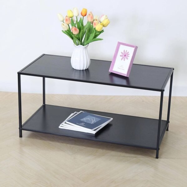 TK Minimalist 2 Tier Coffee Table with Metal Frame
