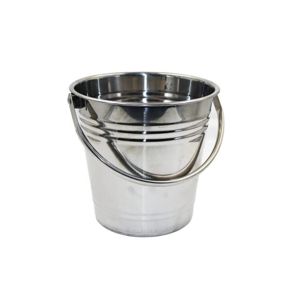 Mini Galvanized Ice Bucket with Swivel Handle
