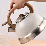 TK Whistling Kettle 3.0L – Wooden Handle Stainless Steel